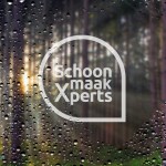 SchoonmaakXperts Logo